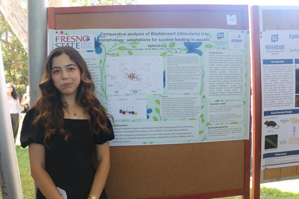 Melissa Presentation